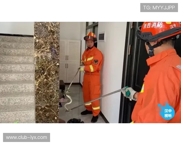 爱游戏app手机版官网安全保障措施，确保用户信息安全与账号安全无忧