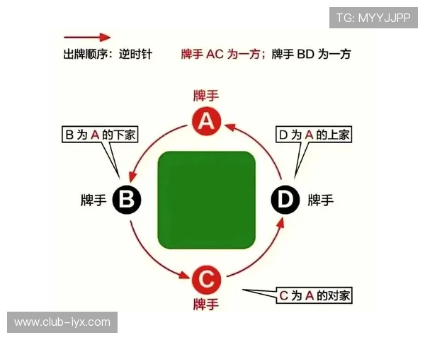 全面解析十三水的规则流程帮助新手快速入门掌握玩法技巧